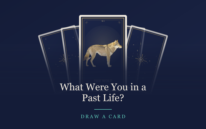 What Were You in a Past Life?